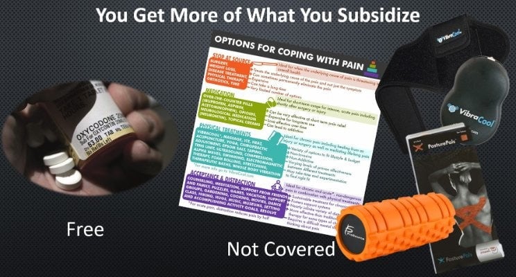 You-Get-What-You-Subsidize-i4
